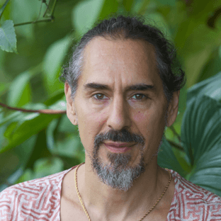 Forest Schrodt